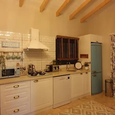 Private 2+1 With Private Pool Φετιγιέ