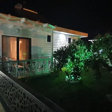 Private 2+1 With Private Pool Φετιγιέ